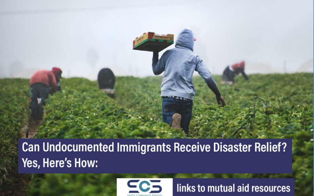 Can Undocumented Immigrants Receive Disaster Relief? Yes, Here’s How: LA Fires Resource Guide