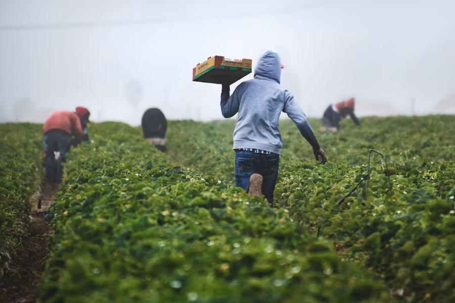 What to Do if Immigration Comes to Your Workplace